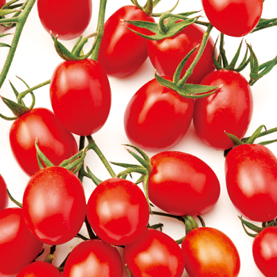 TYジュエルレッドトマト／野菜の種の通信販売 - 中原採種場(株)