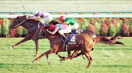 G1復刻】ナリタトップロード3強の証明 早仕掛けで皐月、ダービーの