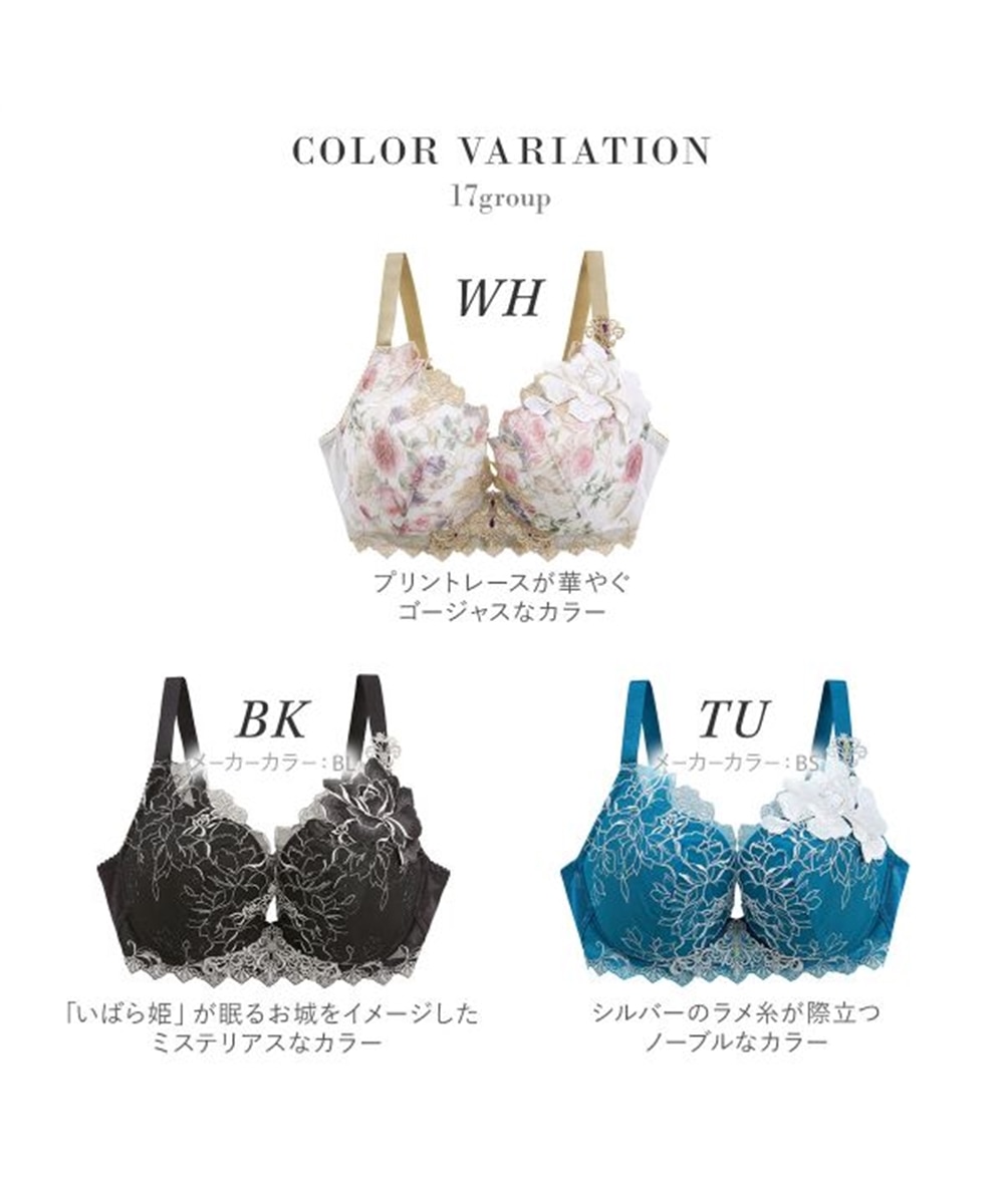 ワコール サルート 17グループ 17G VIVA LINE ブラジャー G ビバライン