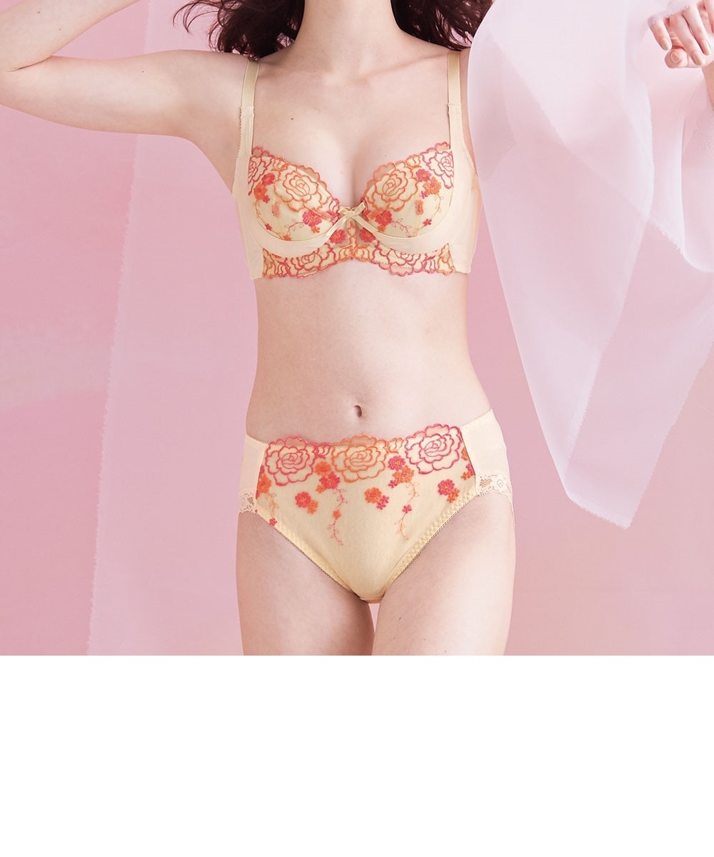 D70M トリンプ プレミアム 脇から寄せてやさしくフィット ブラ