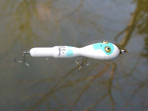 トップウォーター研究室