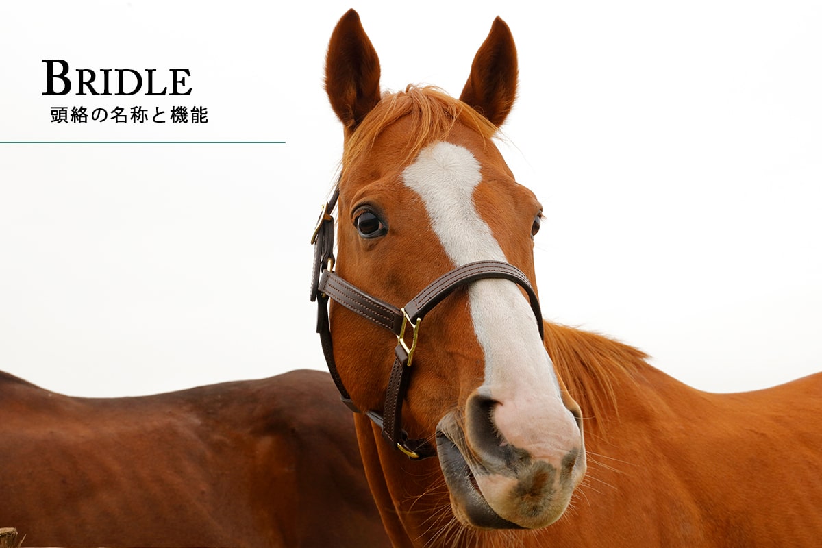 砂川ファクトリーの愛されキャラクター｜アッシュゴールドキーホルダー