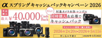 E 70-350mm F4.5-6.3 G OSS | デジタル一眼カメラα（アルファ） | ソニー