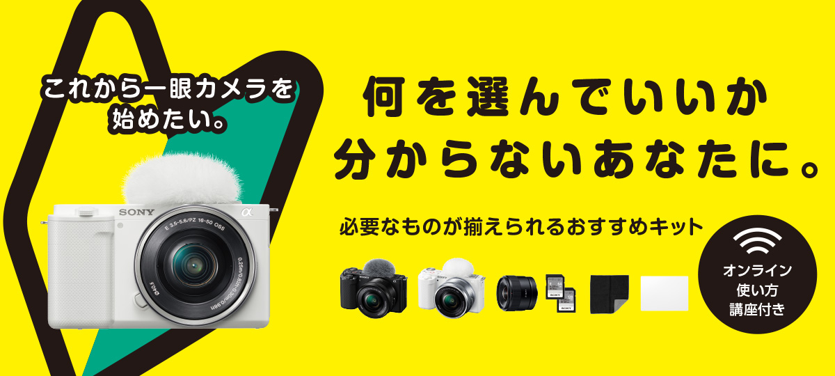 これから一眼カメラを始めたい。何を選んだらいいか分からないあなたに