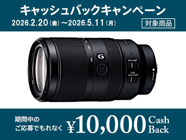 SEL70350G 購入 | デジタル一眼カメラ α：アルファ | ソニー