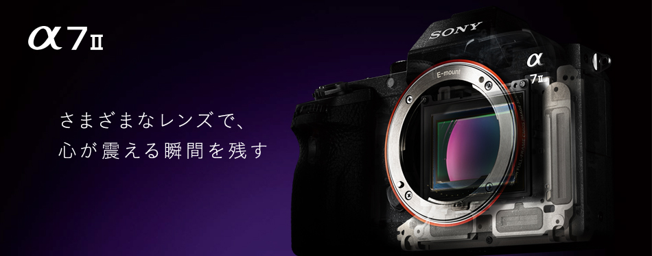 α7 II 特長 : 5軸ボディ内手ブレ補正 | デジタル一眼カメラα（アルファ