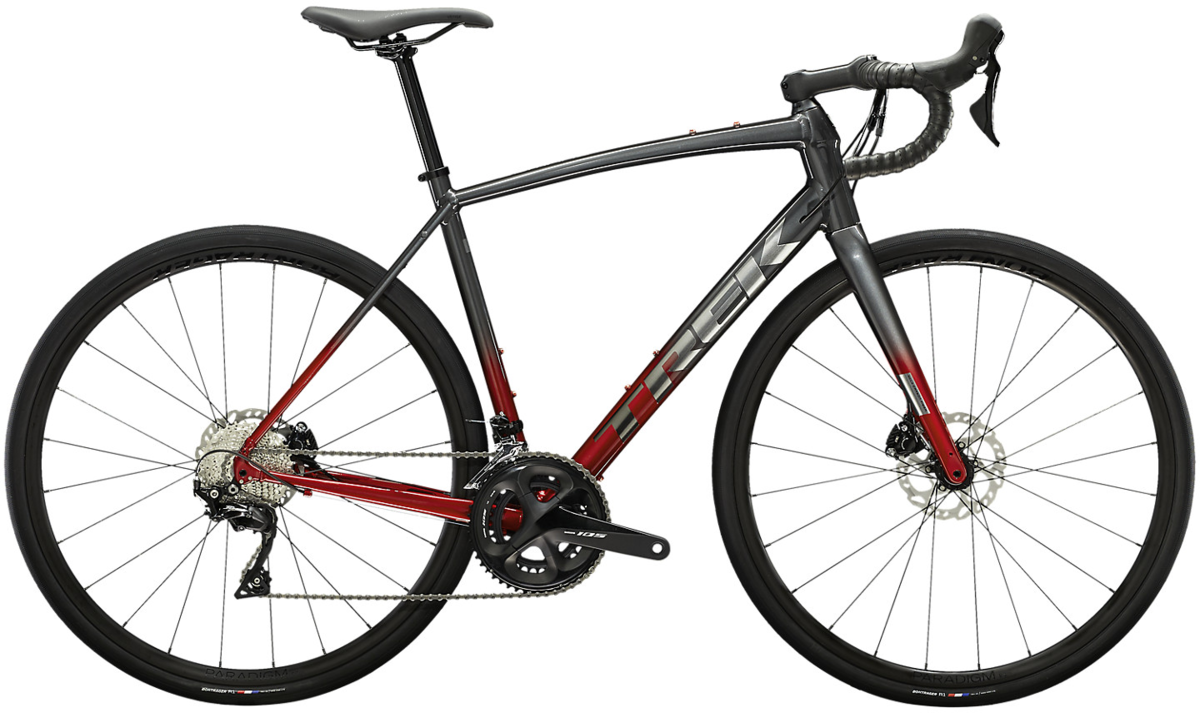 Trek Domane AL 5 Disc - King Kog | Brooklyn