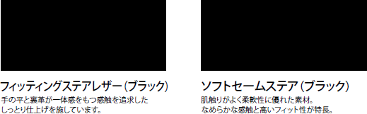 シバスポーツ ザナックス ザナパワーオーダーシステム