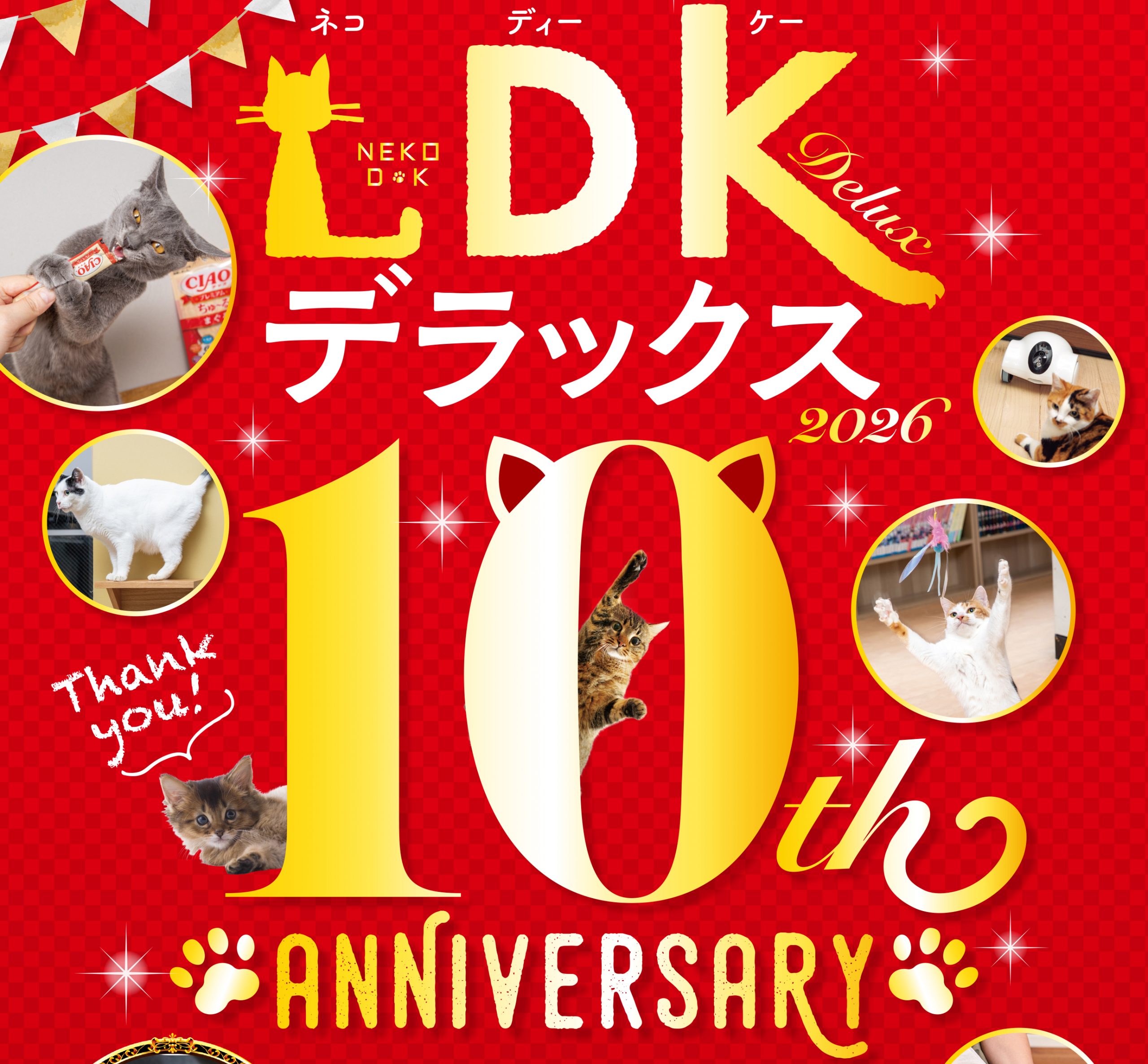 ネコDK デラックス 2026 | 晋遊舎