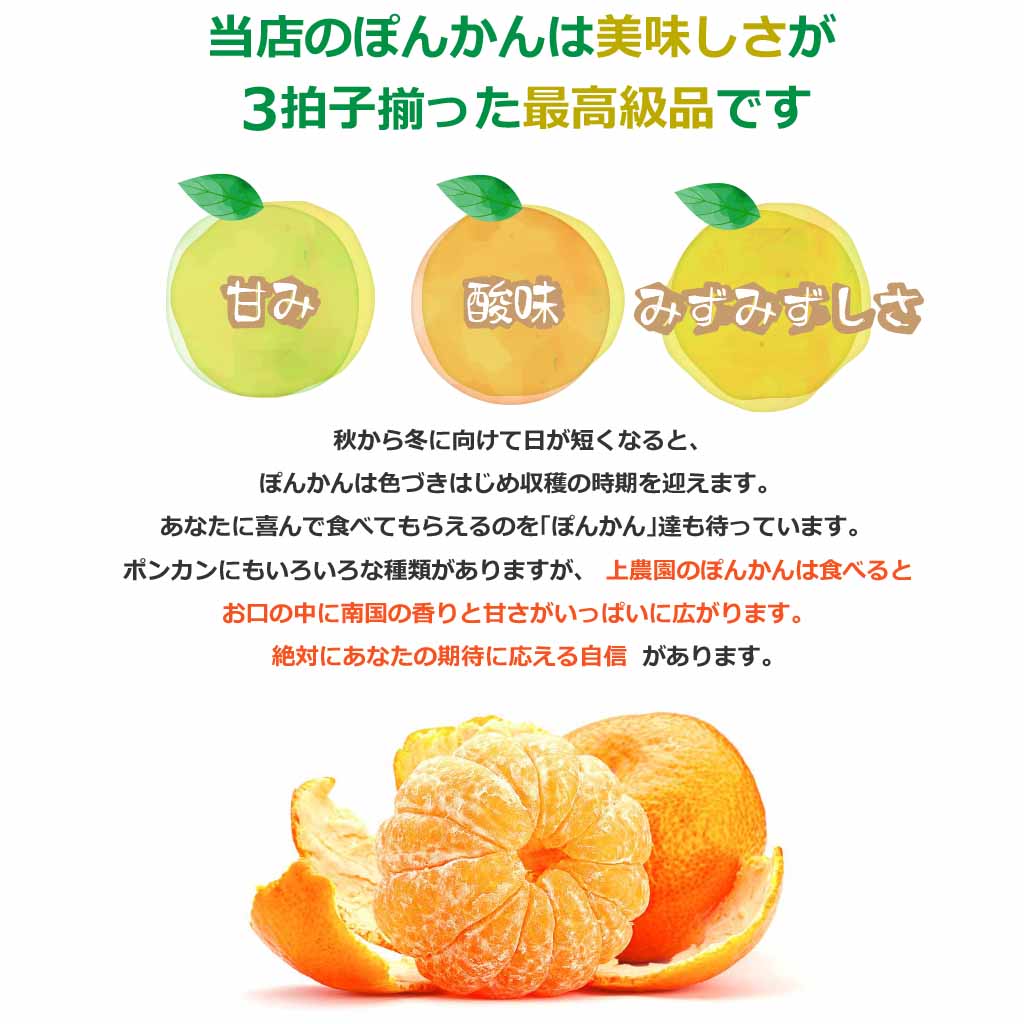 2021年初出荷 上果園の男気ぽんかん5kg 送料無料