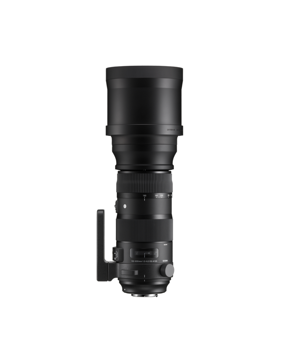 SIGMA 150-600mm F5-6.3 DG OS HSM | Sports | SIGMA Corporation of
