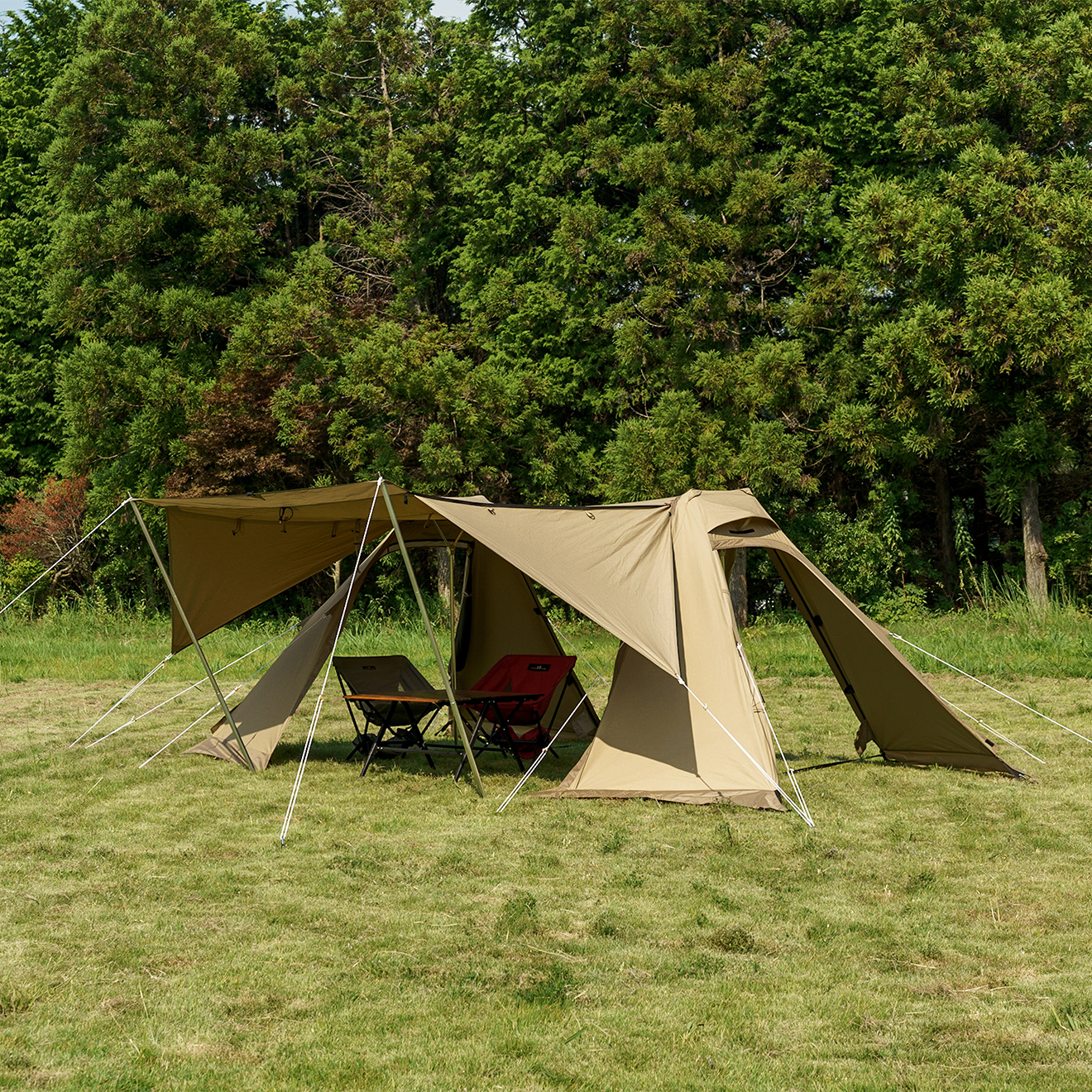 ツインクレスタS T/C / ogawa ONLINE STORE