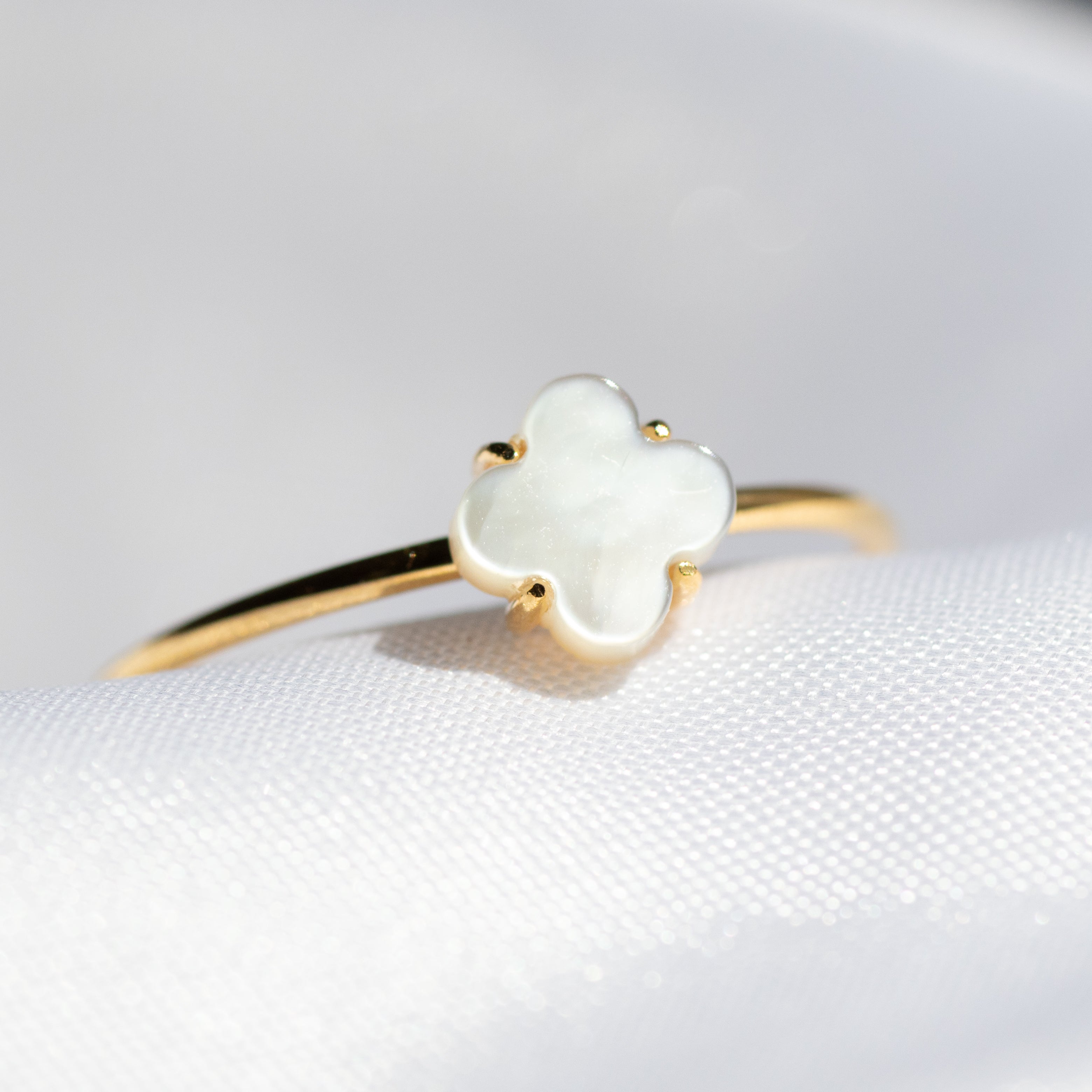 20250429-IMG_2987.jpg?v=