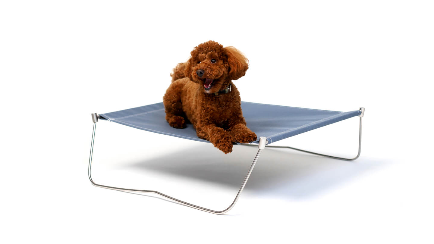 Dog Cot - sunsetclimax