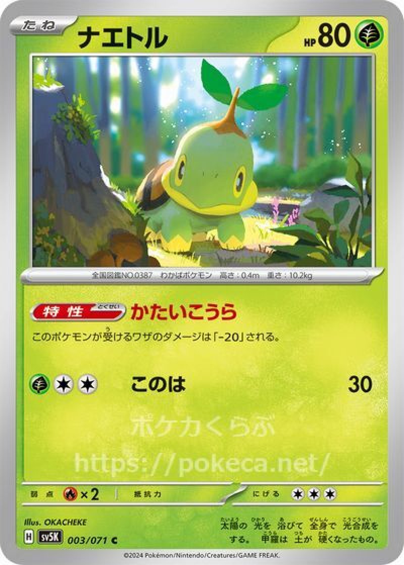 ナエトル(ポケモンカードsv5K ワイルドフォース)