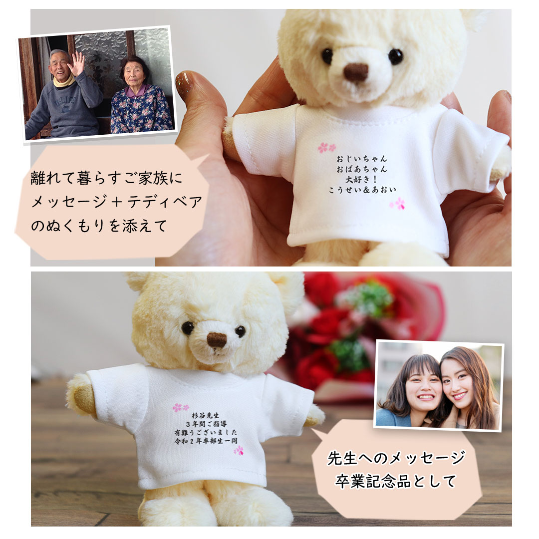 おてがみベア(4S) / メッセージ入り(最大36文字) | テディベアギフトの