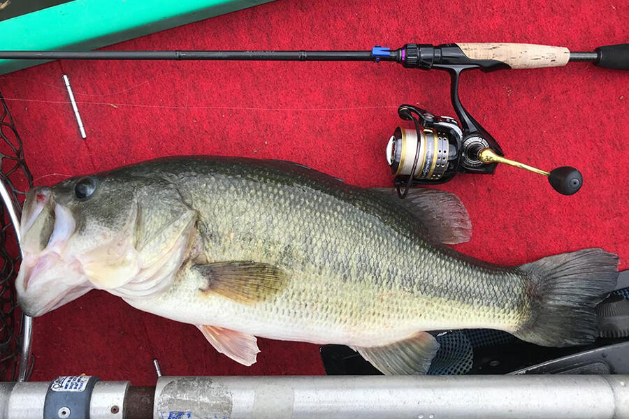 AbuGarcia SUPERIOR (アブ・ガルシア スーペリア)｜AbuGarcia｜釣具の