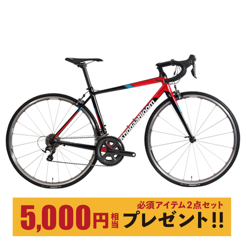 Khodaa Bloom（コーダブルーム） FARNA SL（ファーナSL） フレーム