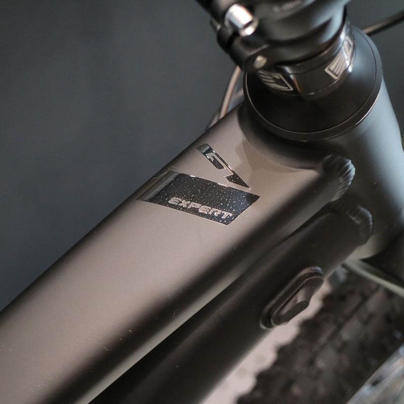 GT（ジーティー） 2020年モデル AVALANCHE EXPERT （アバランチェ