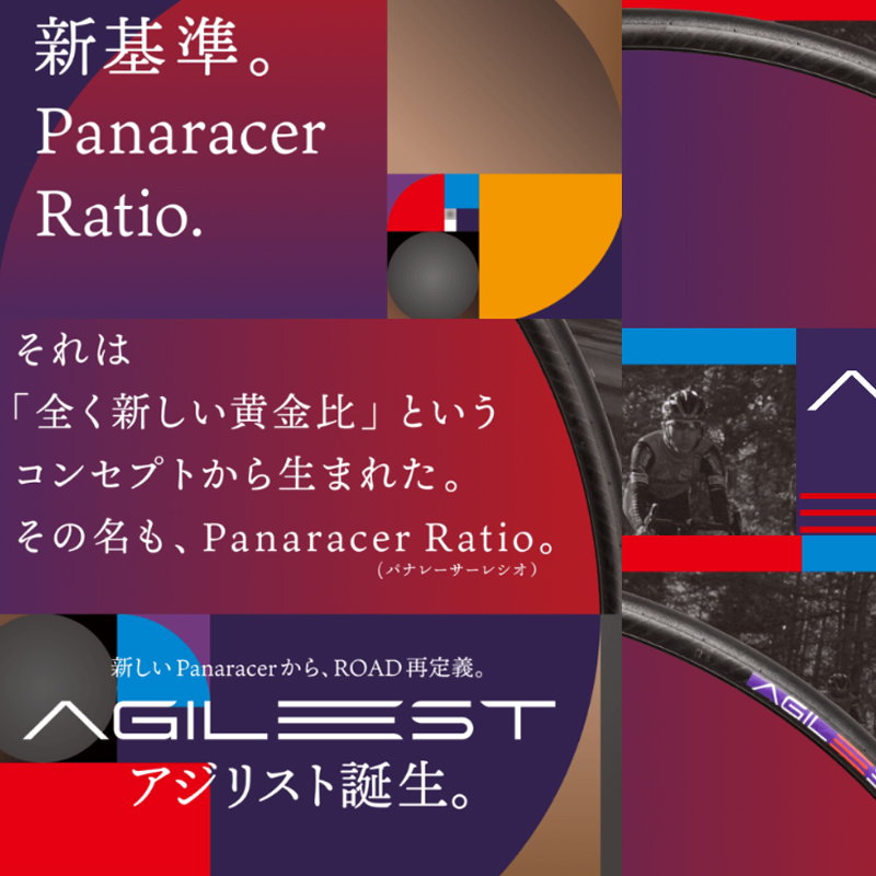 Panaracer（パナレーサー）AGILEST DURO TUBED（アジリストデュロ