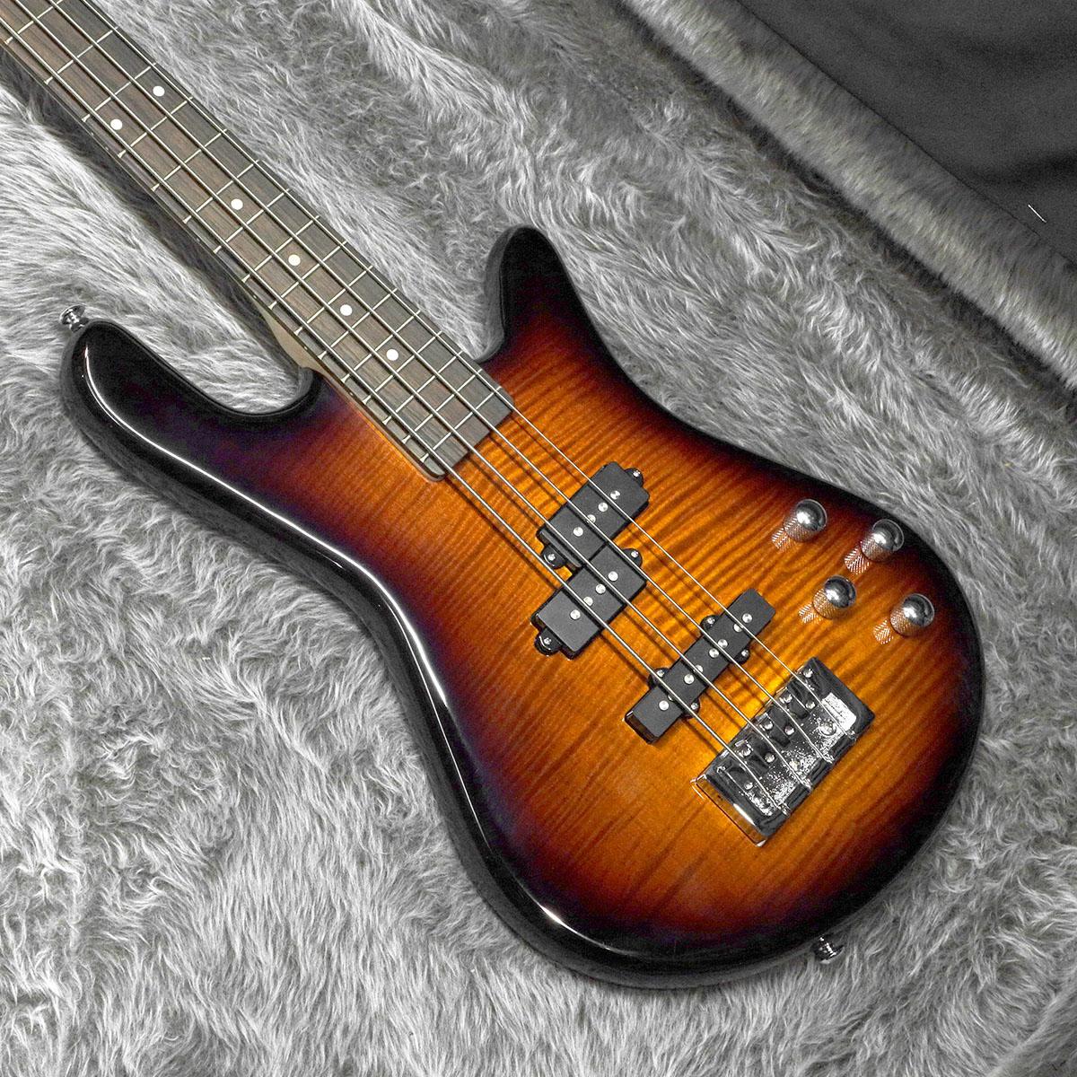 Spector Legend 4 standard スペクター　レジェンド4 SPECTOR Legend 4 Standard Black Stain Gloss スペクターベース