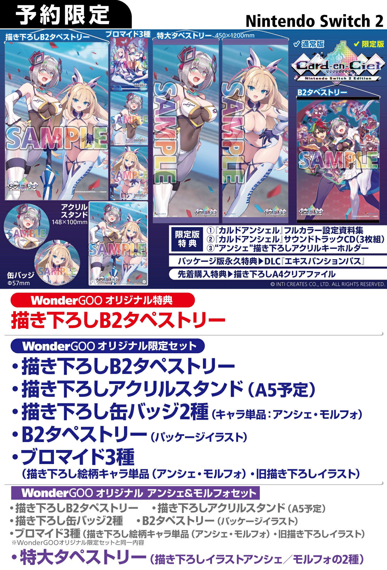 Nintendo Switch2 カルドアンシェル Nintendo Switch 2 Edition