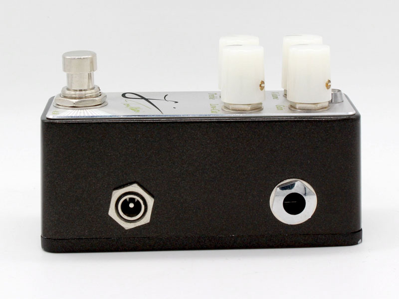 L' Tosin Abasi Signature