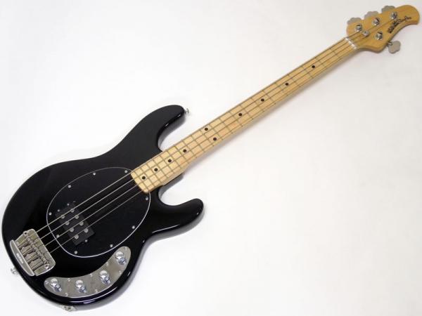 MUSIC MAN ミュージックマン STING RAY 4 Black / Maple Fingerboard