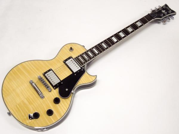 SCHECTER シェクター SOLO II CUSTOM(GNAT) (AD-SOLO-2-CTM)【エレキ