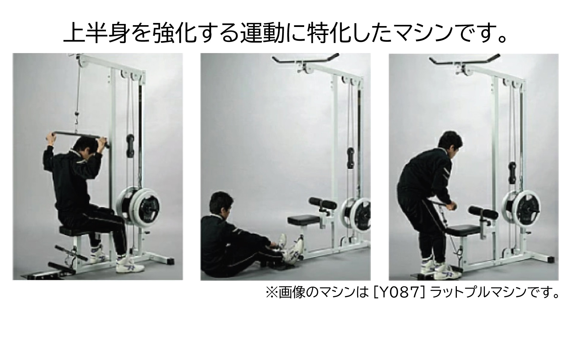 タワー・ラットマシン 高さ280cm 高いようなら切断可200