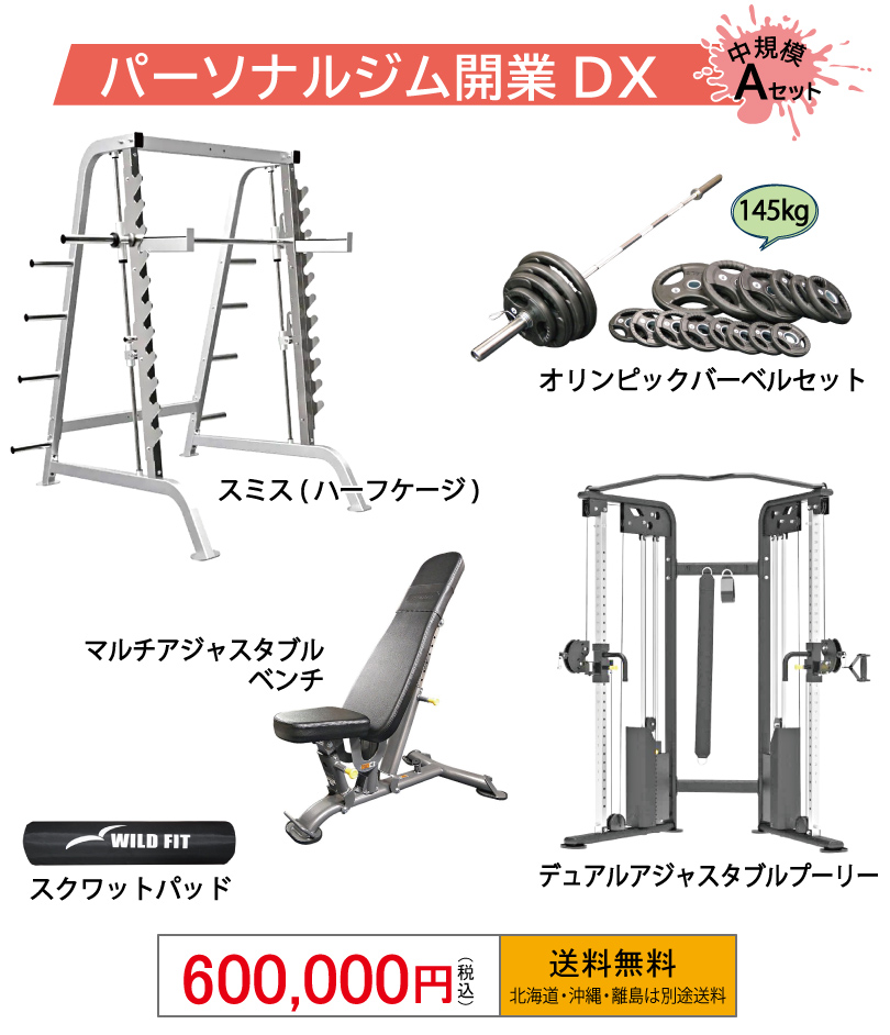 パーソナルジム開業DX Aセット | ワイルドフィットは業務用ジムマシン