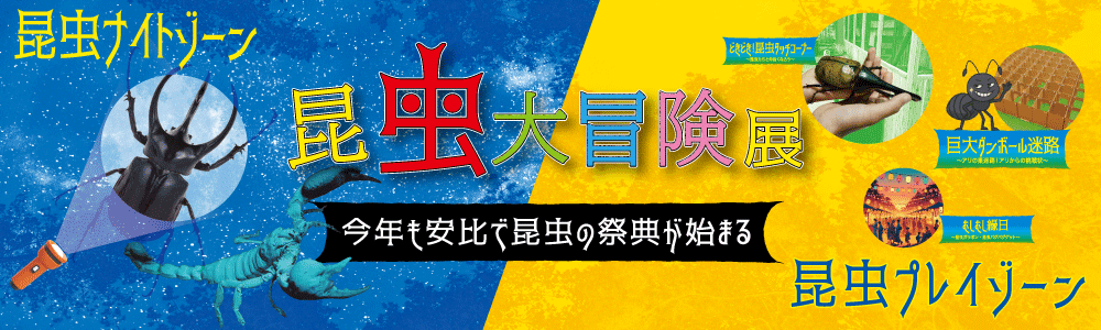 昆虫大冒険展2025｜テレビ岩手