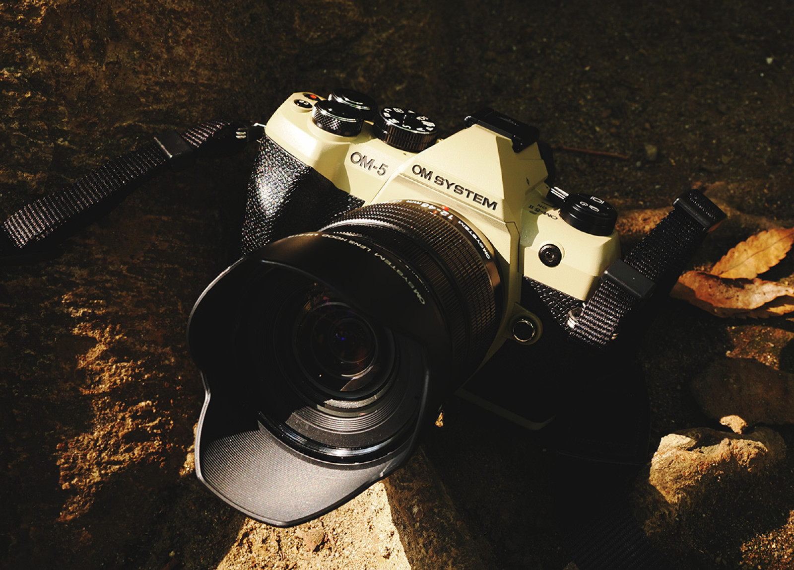 大人気モデル「OM-5」が3年ぶりにリニューアル！ 登山の相棒としても