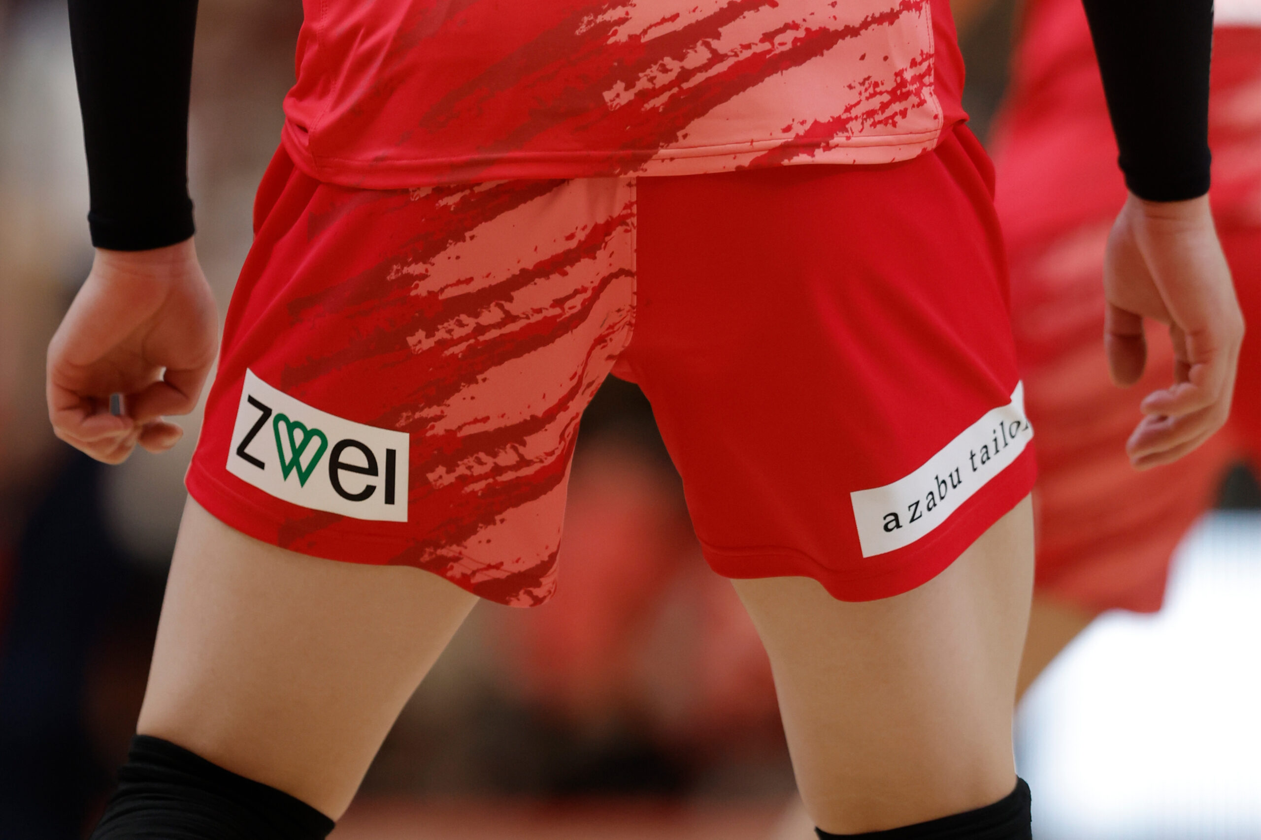 サントリーバレーボールチーム「サントリーサンバーズ大阪」の