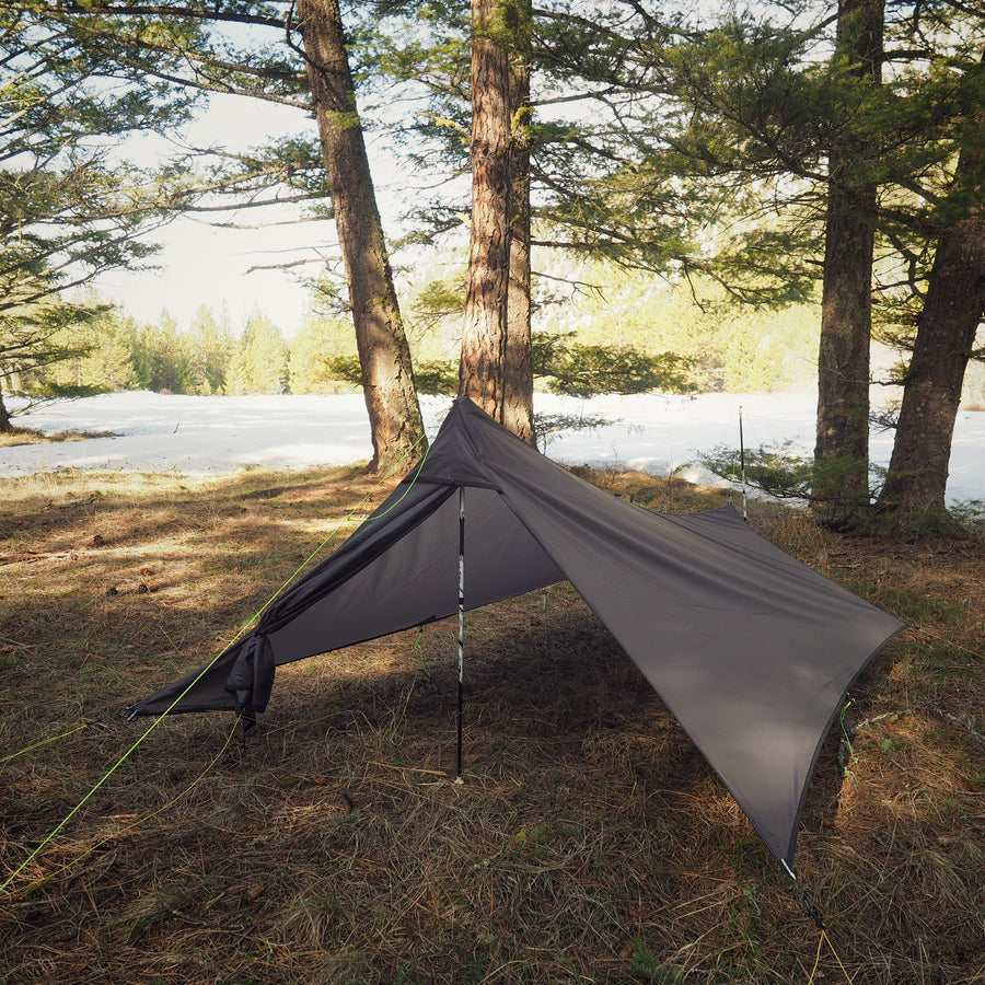 motto kuma tarp to tarp 限定 motto_kuma ☆SAIBORG / TARP to TARP