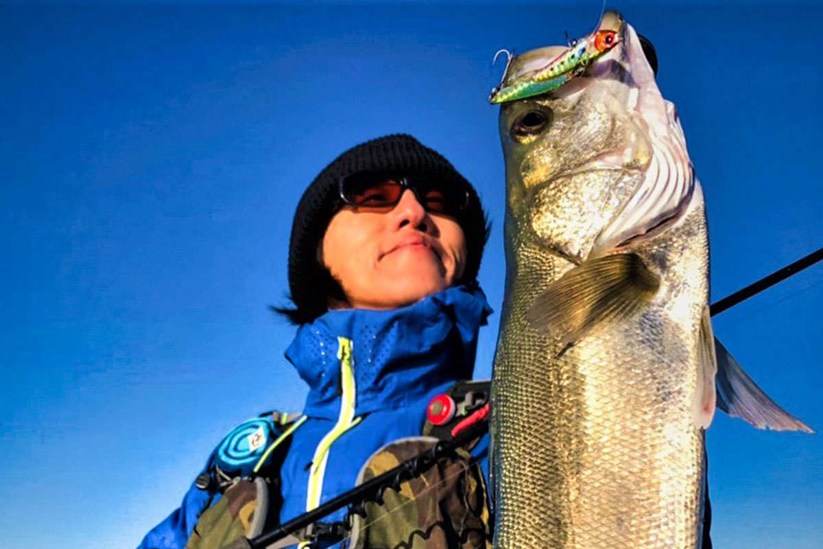 PLAISIR ANSWER - ZENAQ | Official-Web