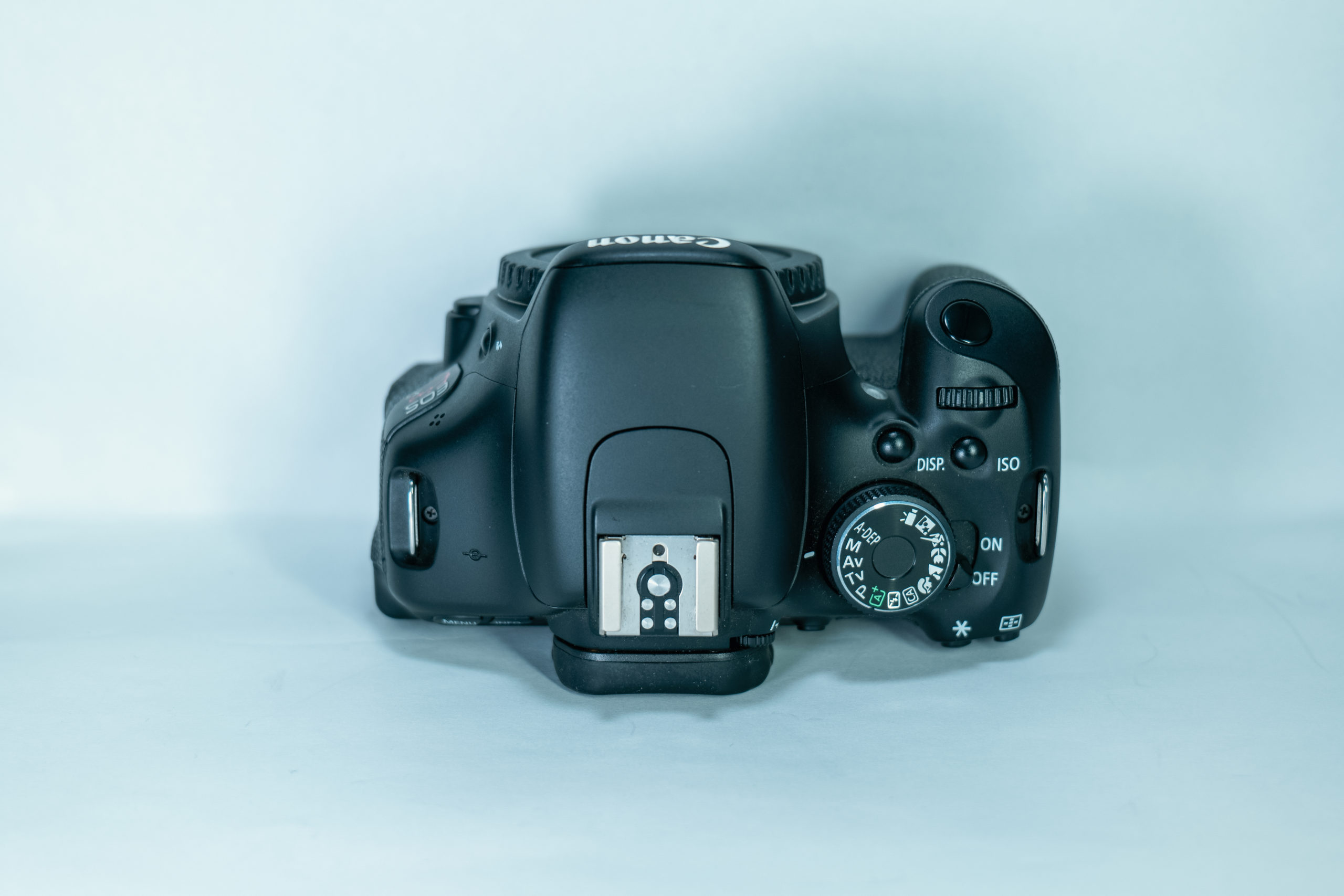 レビュー】中古激安！キャノン KISS X5は初めての一眼レフにおすすめ