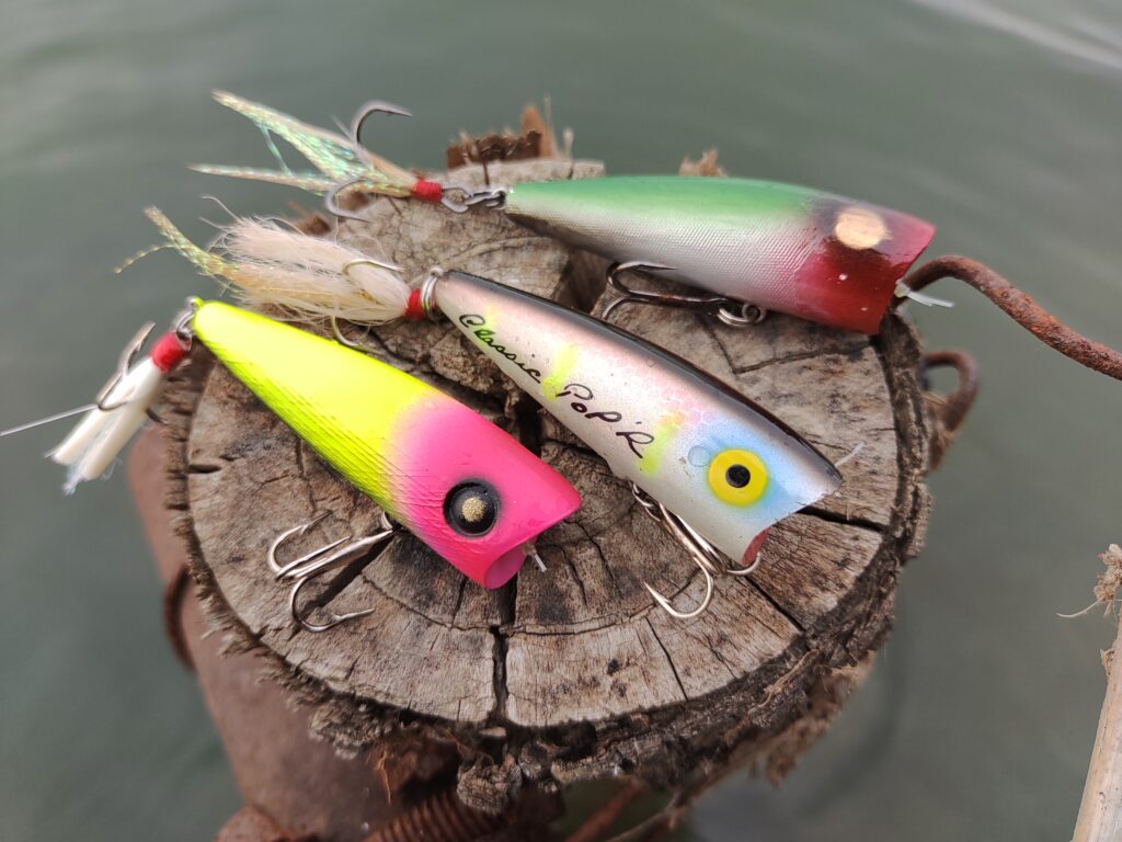 リッククランがゼルに激怒!」レーベル ポップRの秘密と歴史! | 釣り