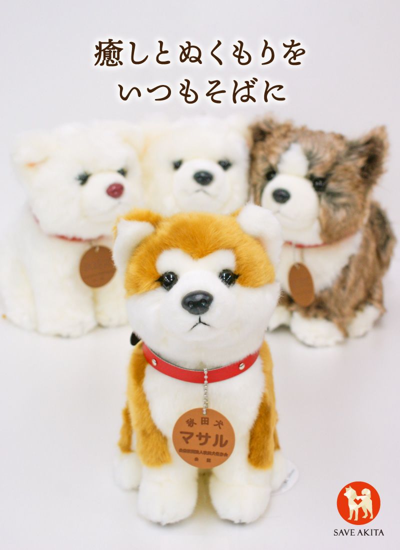 秋田犬マサルM(赤毛)/白毛M(ピンク鼻・黒鼻)/虎毛M | ハチふる SHIBUYA
