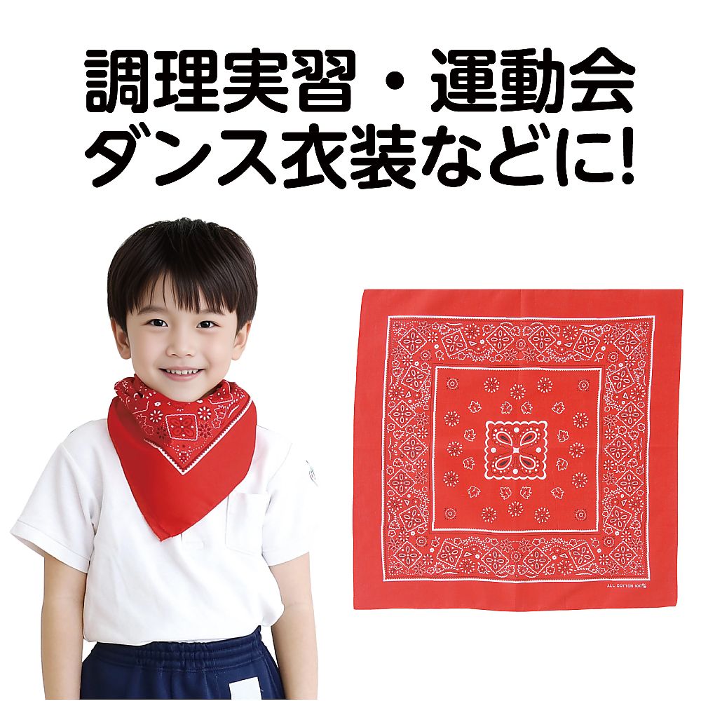 61-6002-24 バンダナ 赤 1243 【AXEL】 アズワン