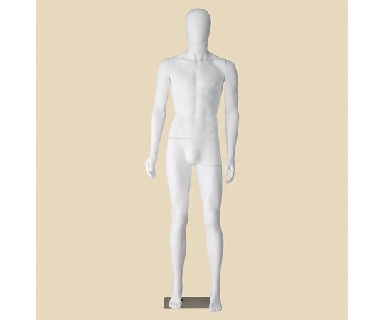 67-6609-48 紳士頭部パーツ 白（PP製全身マネキン、トルソー用