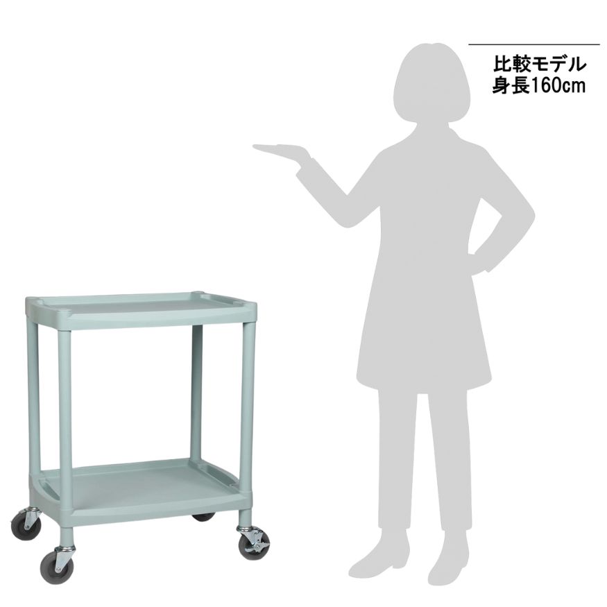 1-8544-12 プラスチックワゴン 655×455×820mm 棚2段 Y201A 【AXEL