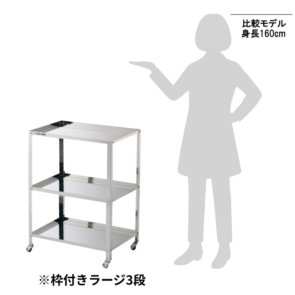 3-1556-03 枠付きステンレスワゴン ラージ 2段 610×410×809mm 枠付き