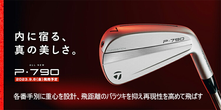 テーラーメイド NEW P790('23) 軟鉄 単品アイアン N.S.PRO 950GH neo