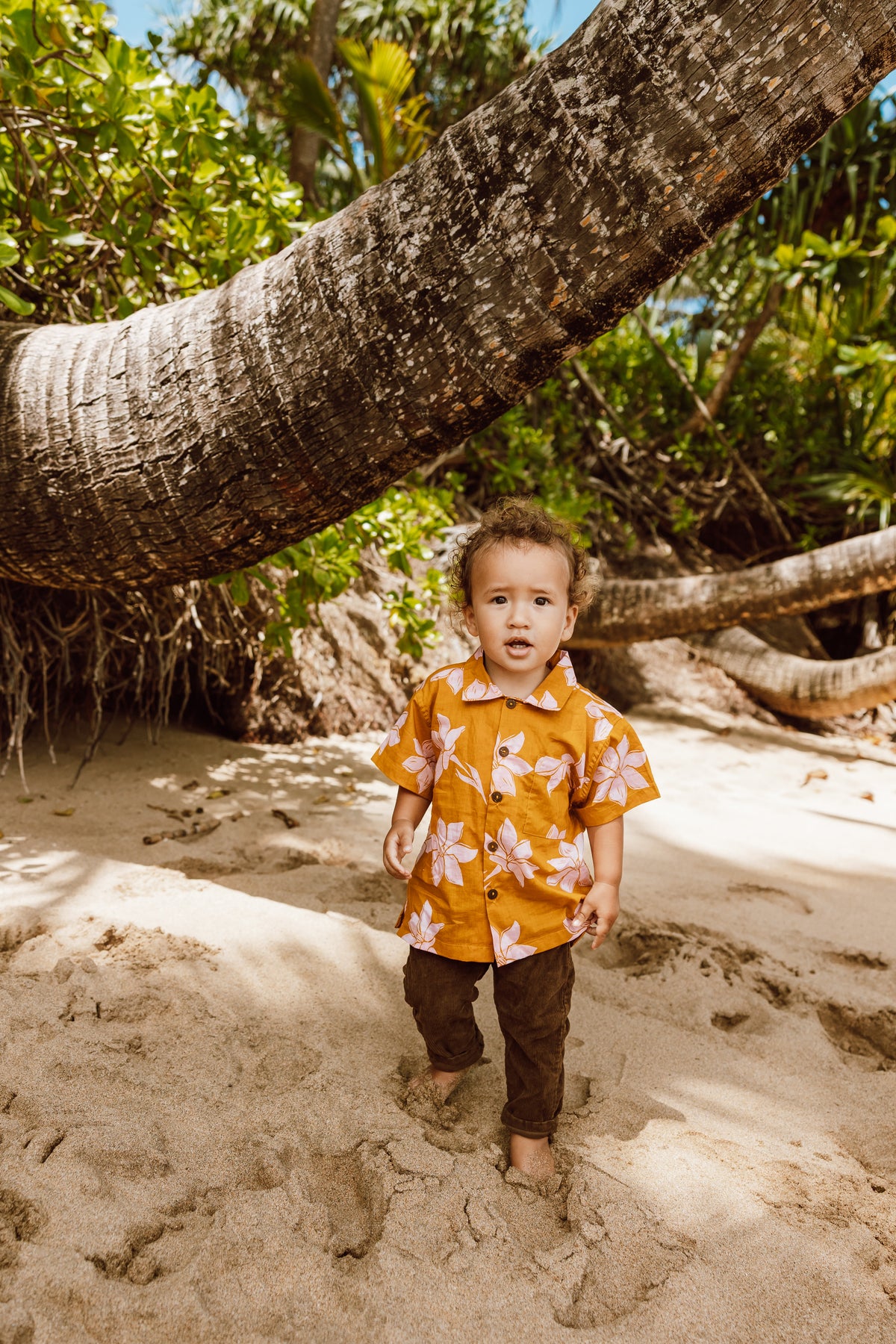 ALOHIWAI_SPRING25_LAUAE_NANU-