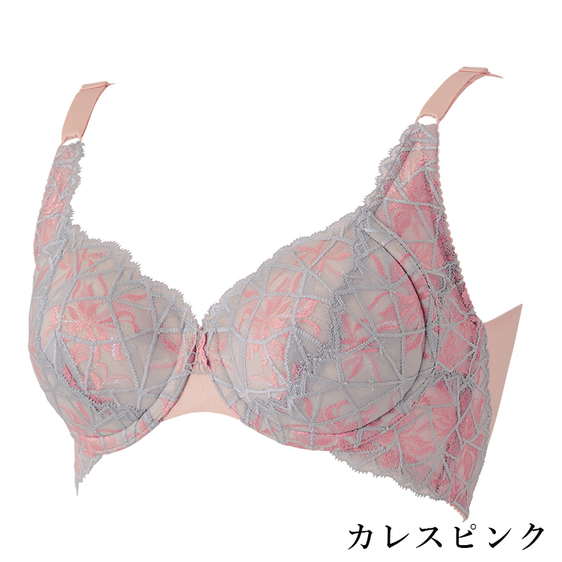 カーヴィシャス カレス フルカップショートブラジャー | 補整下着(補正