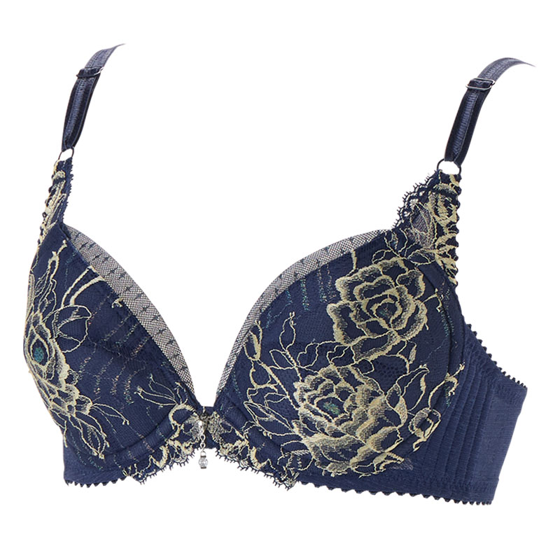 上半身 | 補整下着(補正下着)、ブラ・ショーツ・ガードル、着圧