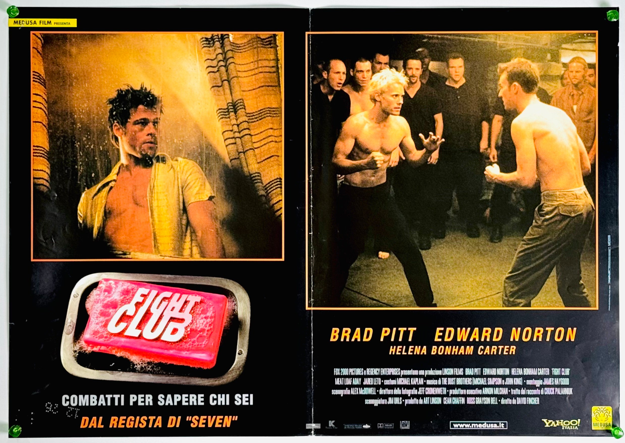 4231.jpg?v=1754017678&width=1920