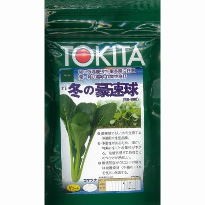 コマツナ】冬の豪速球（R8-800）〔トキタ交配〕/M4万粒 | 野菜・草花の