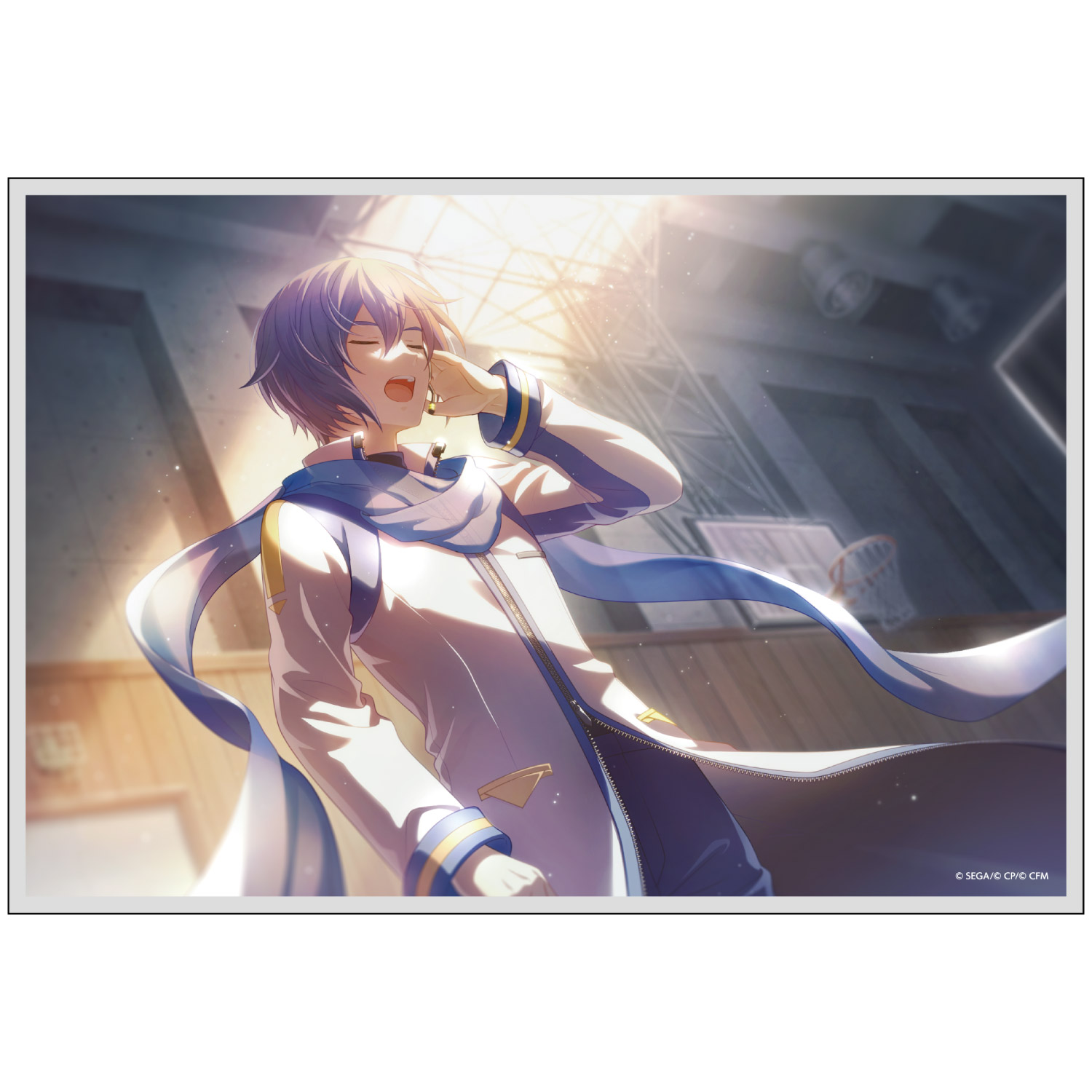 はっぴーこれくしょんくじ プロセカ バースデーギフトシリーズ2025